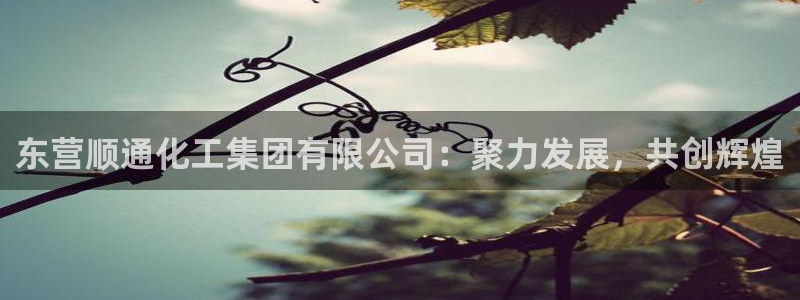球盟会吧：东营顺通化工集团有限公司：聚力发展，共创辉煌
