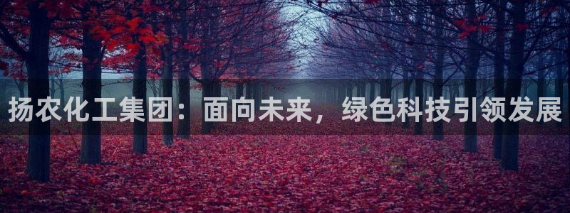 球盟会黑款吗知乎小说：扬农化工集团：面向