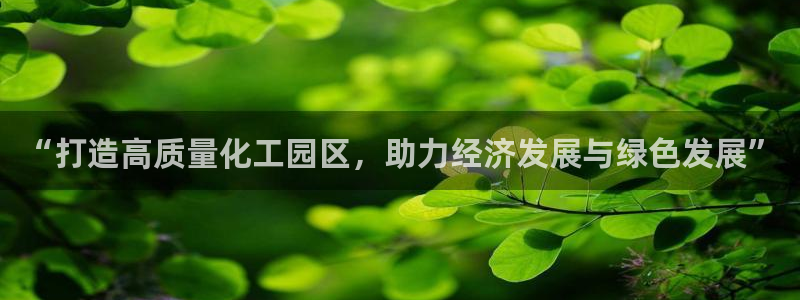 球盟会游戏：“打造高质量化工园区，助力经