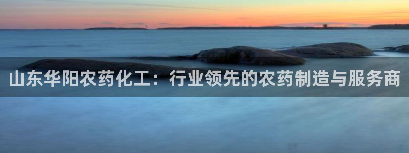 球盟会app最新地址下载：山东华阳农药化