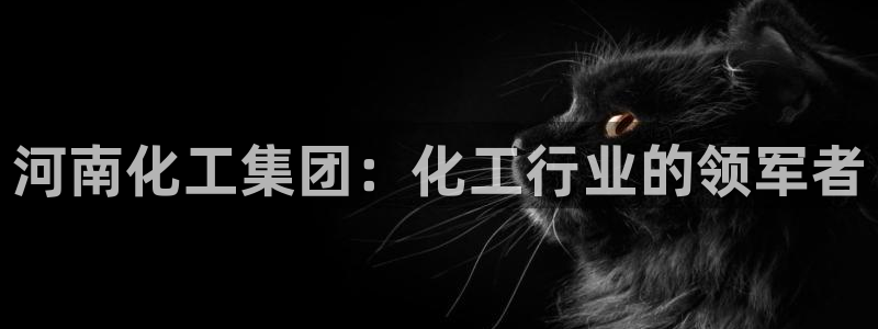 球盟会官方下载