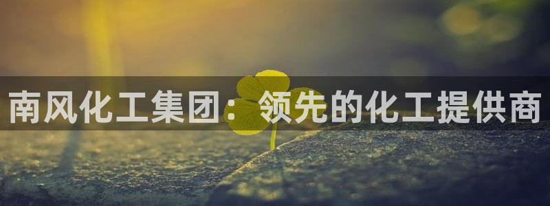 球盟会官方下载：南风化工集团：领先的化工提供商