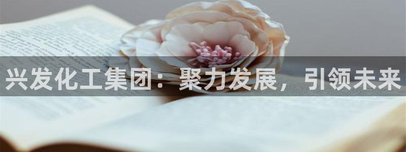 球盟会用的客服聊天是哪个软件：兴发化工集团：聚力发展，引领未