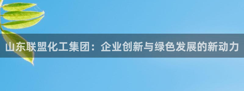 球盟会网址多少：山东联盟化工集团：企业创新与绿色发展的新动力