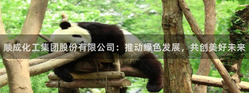 球盟会黑钱：顺成化工集团股份有限公司：推动绿色发展，共创美好
