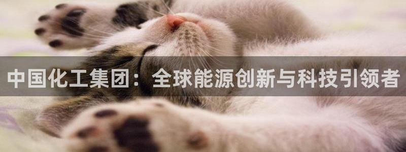球盟会：中国化工集团：全球能源创新与科技引领者