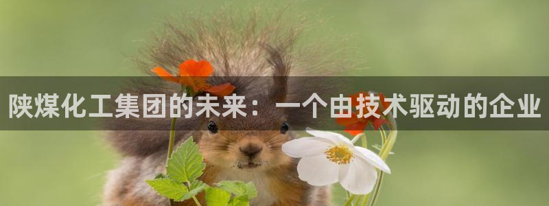 球盟会app最新地址在哪：陕煤化工集团的未来：一个由技术驱动