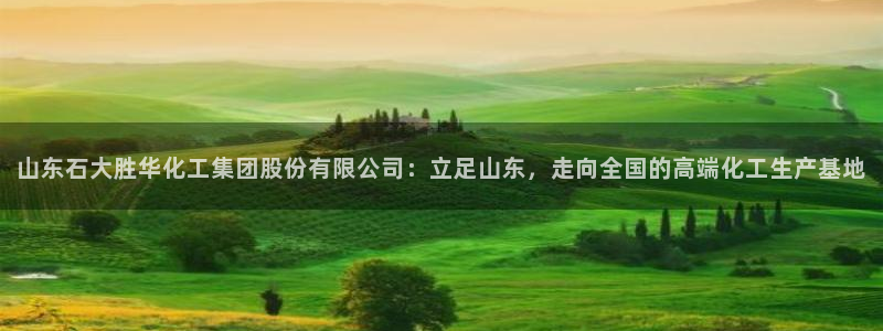 球盟会app最新地址在哪里：山东石大胜华化工集团股份有限公司