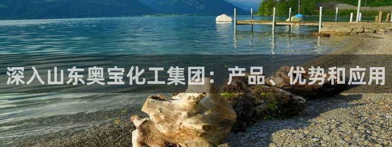 球盟会登录平台