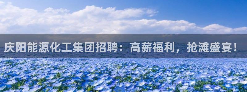 球盟会在线登录