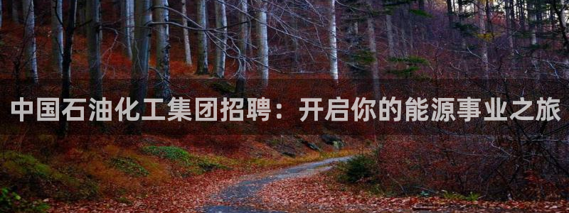 球盟会网页登录app下载地址