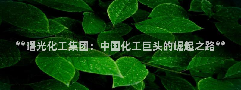 球盟会登录入口