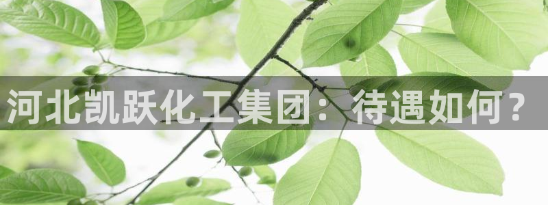 球盟会网页登录app下载地址