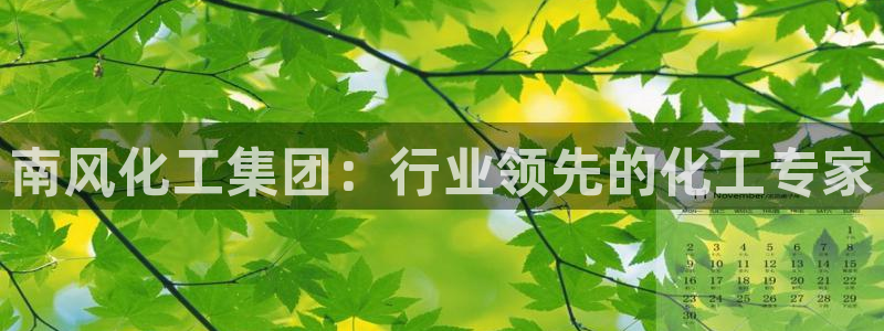 球盟会出款黑了：南风化工集团：行业领先的化工专家
