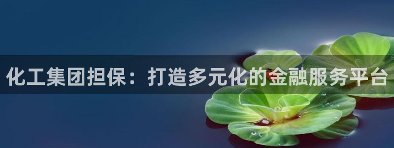 球盟会和中欧：化工集团担保：打造多元化的金融服务平台