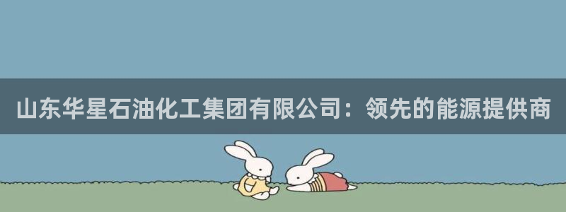 球盟会黑台子：山东华星石油化工集团有限公司：领先的能源提供商