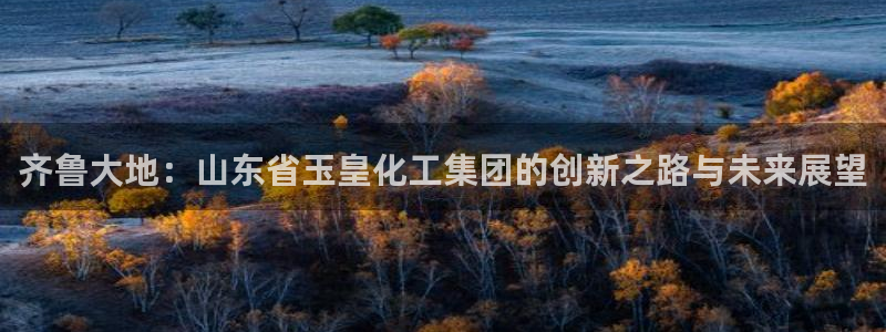球盟会app最新地址在哪找：齐鲁大地：山东省玉皇化工集团的创