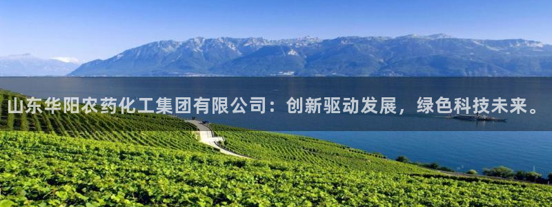 球盟会在线登录官网：山东华阳农药化工集团有限公司：创新驱动发