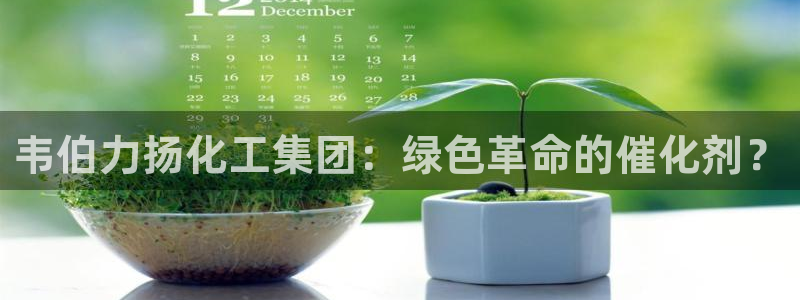 球盟会几点玩合适：韦伯力扬化工集团：绿色革命的催化剂？