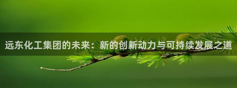 球盟会官网app下载：远东化工集团的未来：新的创新动力与可持