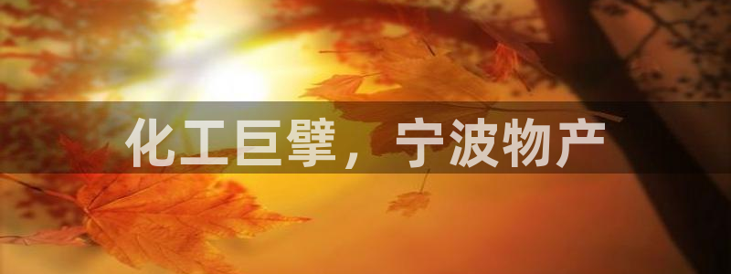 球盟会电子游戏平台：化工巨擘，宁波物产