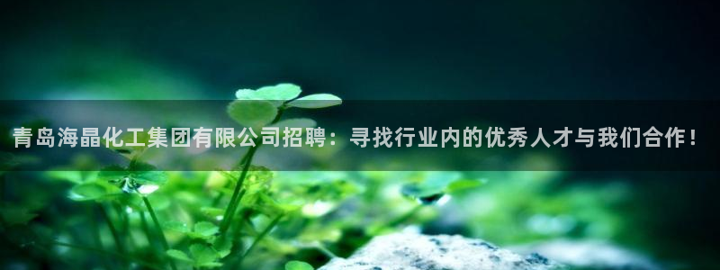 球盟会能提现吗：青岛海晶化工集团有限公司招聘：寻找行业内的优