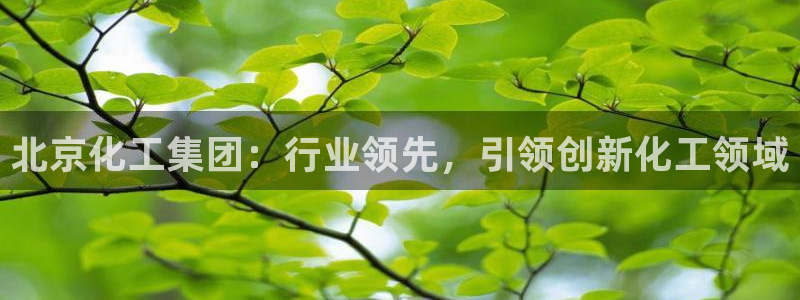 球盟会能退钱吗是真的吗：北京化工集团：行业领先，引领创新化工