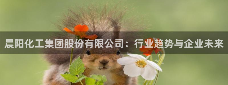 球盟会登陆入口：晨阳化工集团股份有限公司：行业趋势与企业未来