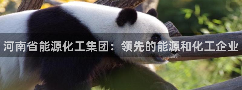 球盟会可以提现么是真的吗：河南省能源化工集团：领先的能源和化