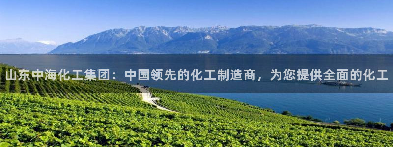 球盟会类似的网站：山东中海化工集团：中国领先的化工制造商，为