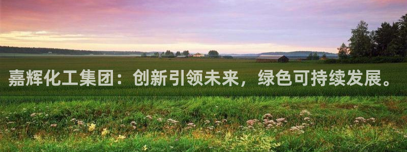球盟会官方网址入口：嘉辉化工集团：创新引领未来，绿色可持续发
