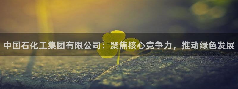 球盟会登陆中心：中国石化工集团有限公司：聚焦核心竞争力，推动