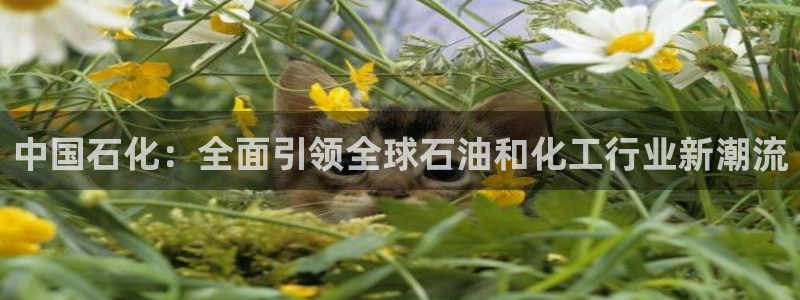 球盟会APP官网：中国石化：全面引领全球石油和化工行业新潮流