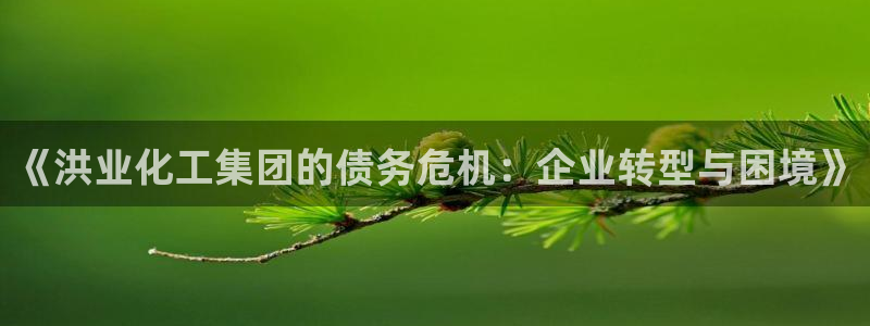 球盟会优惠领取网站是真的吗：《洪业化工集团的债务危机：企业转
