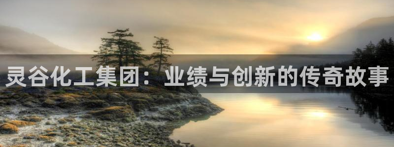 球盟会官方app首页入口：灵谷化工集团：业绩与创新的传奇故事
