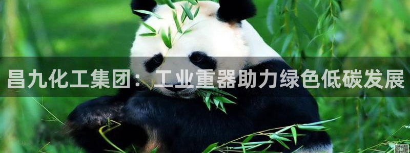 球盟会类似的网站：昌九化工集团：工业重器助力绿色低碳发展