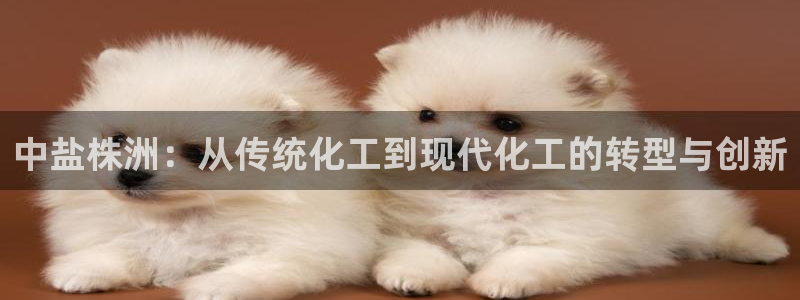 球盟会黑款吗：中盐株洲：从传统化工到现代化工的转型与创新