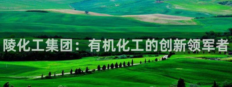球盟会官方网入口：陵化工集团：有机化工的创新领军者