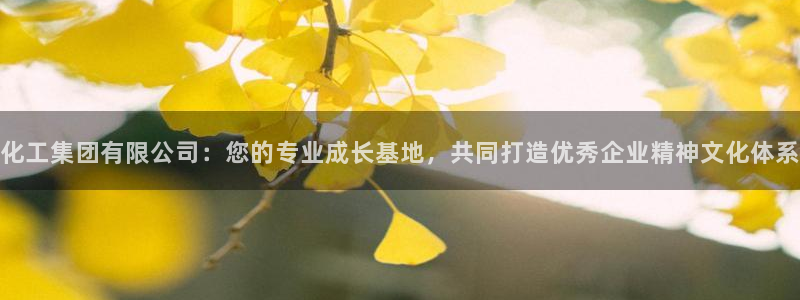 球盟会可靠不：化工集团有限公司：您的专业成长基地，共同打造优