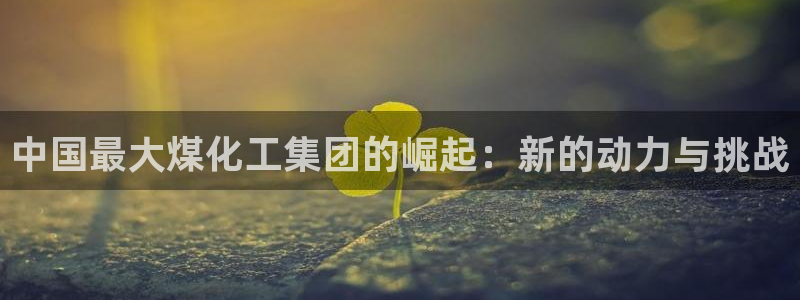 球盟会唯一：中国最大煤化工集团的崛起：新的动力与挑战