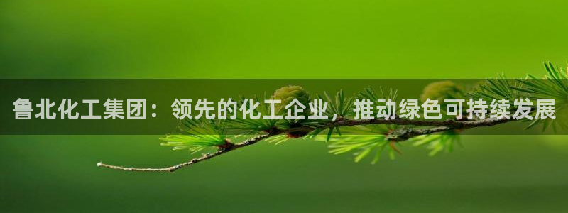 球盟会app最新地址下载安装：鲁北化工集团：领先的化工企业，