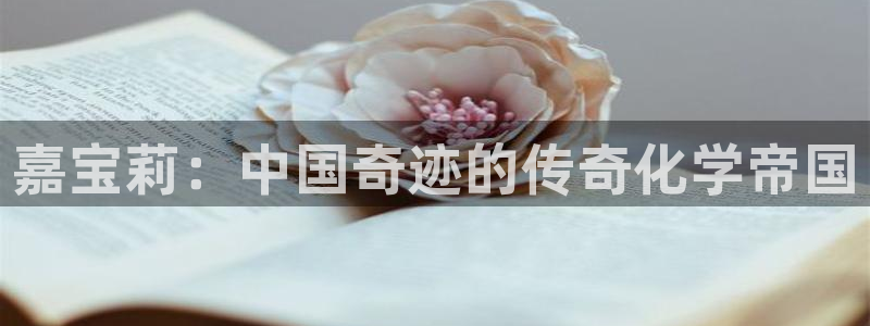 球盟会用的客服聊天是哪个软件：嘉宝莉：中国奇迹的传奇化学帝国