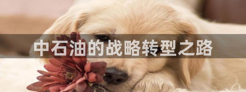 球盟会登录网址