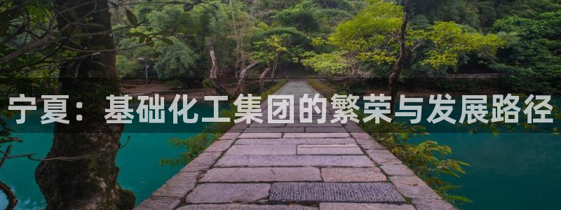 球盟会qmh：宁夏：基础化工集团的繁荣与发展路径
