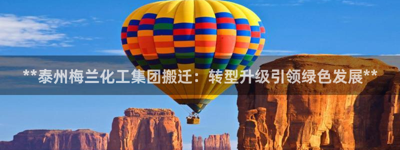 球盟会国际官网：**泰州梅兰化工集团搬迁