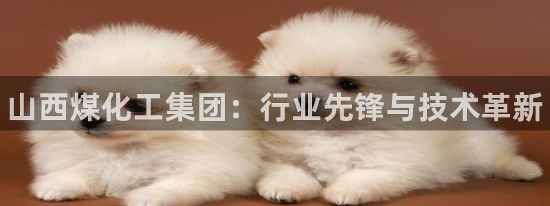 球盟会网址多少：山西煤化工集团：行业先锋与技术革新