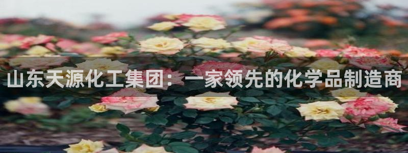 球盟会官方网页登录