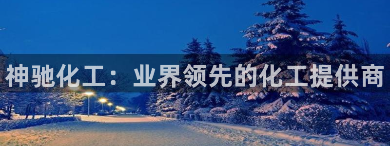 球盟会黑：神驰化工：业界领先的化工提供商