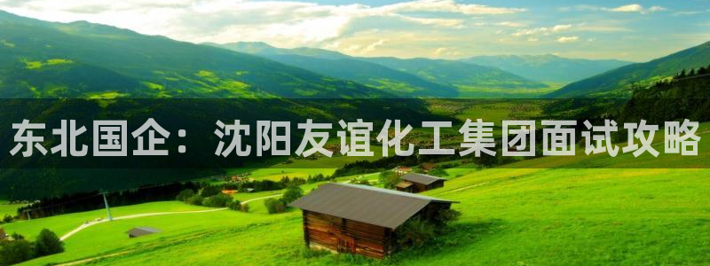 球盟会qm：东北国企：沈阳友谊化工集团面