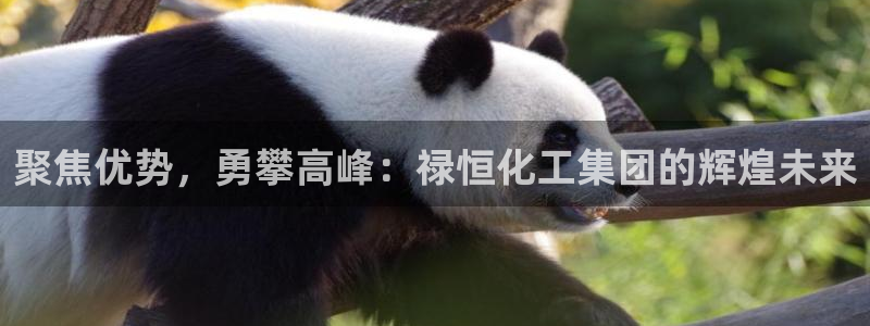 球盟会官方网站是什么